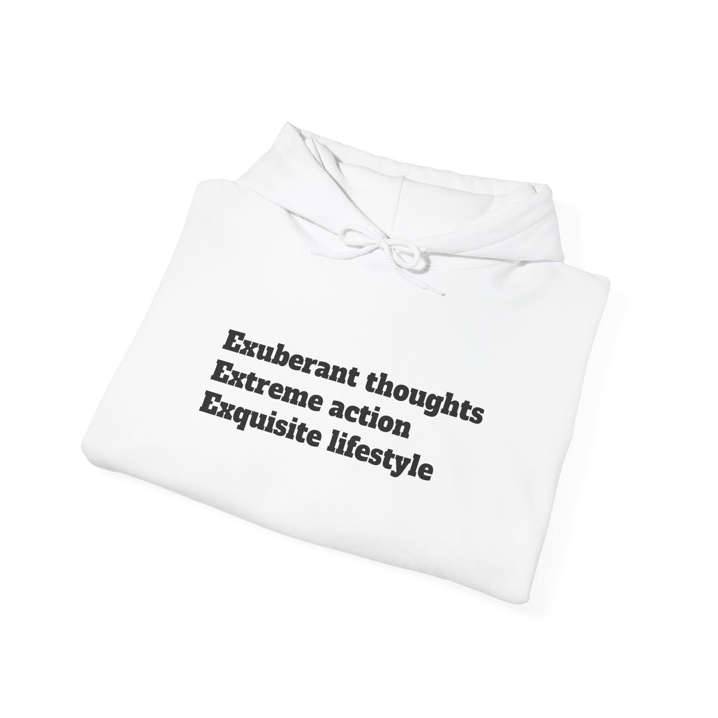 Exquisite Lifestyle Hoodie - Unisex Heavy Blend Sweatshirt, Cozy Casual Wear, Gift for Friends, Inspirational Hoodie