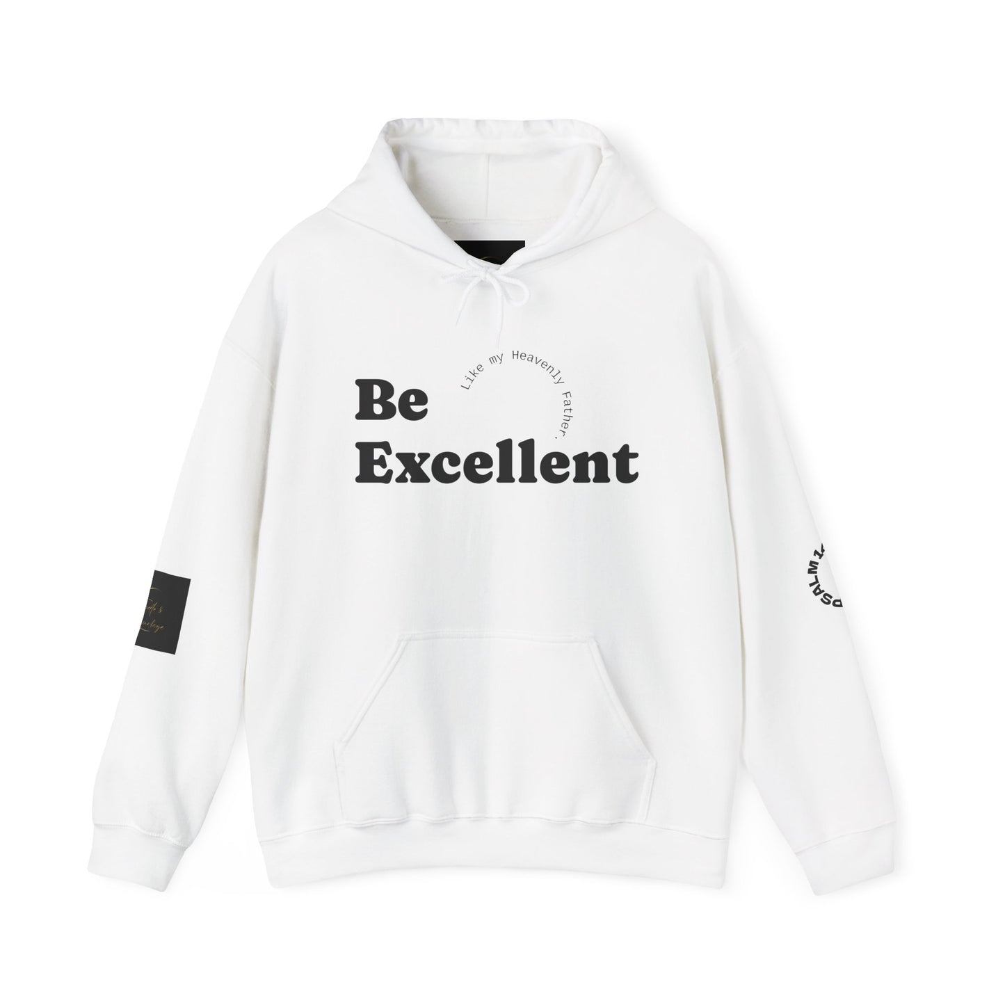 Be Excellent Motivational Unisex Hoodie, Inspirational Sweatshirt, Cozy Attire for Everyday, Gift for Students