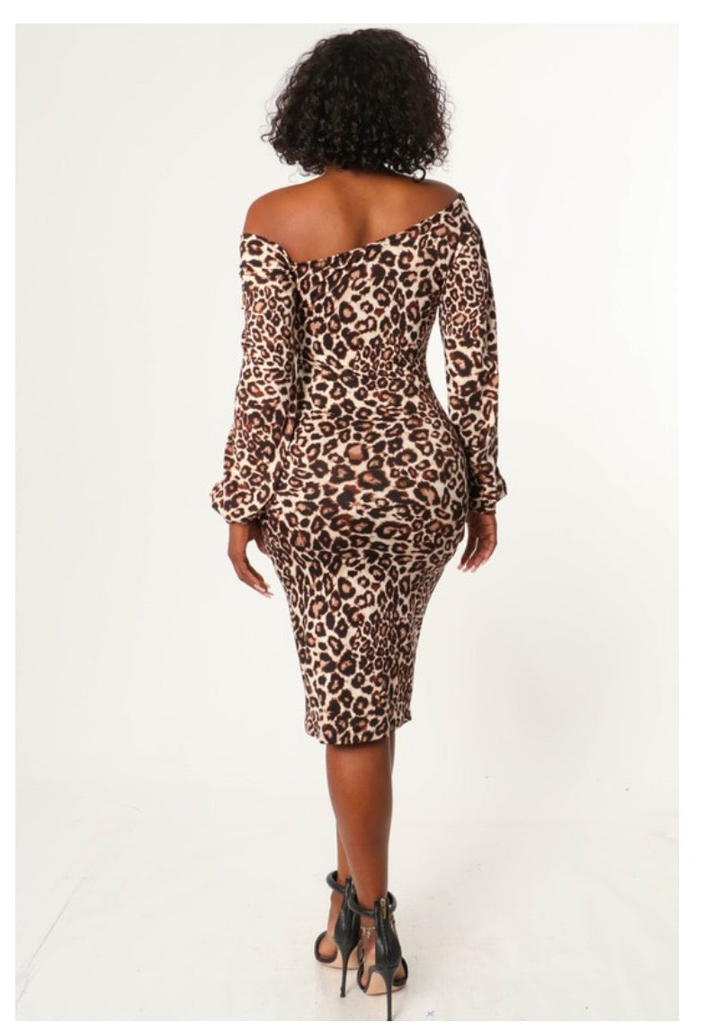 Animal Print Long Sleeved Dress