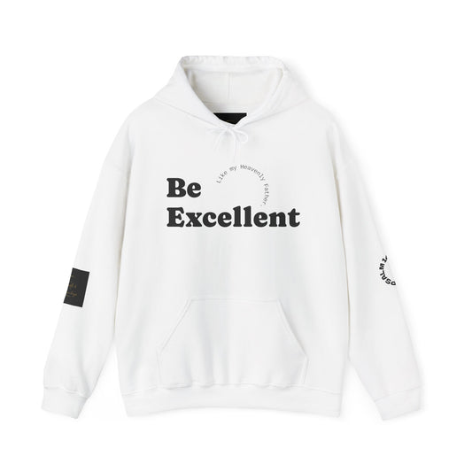 Be Excellent Motivational Unisex Hoodie, Inspirational Sweatshirt, Cozy Attire for Everyday, Gift for Students