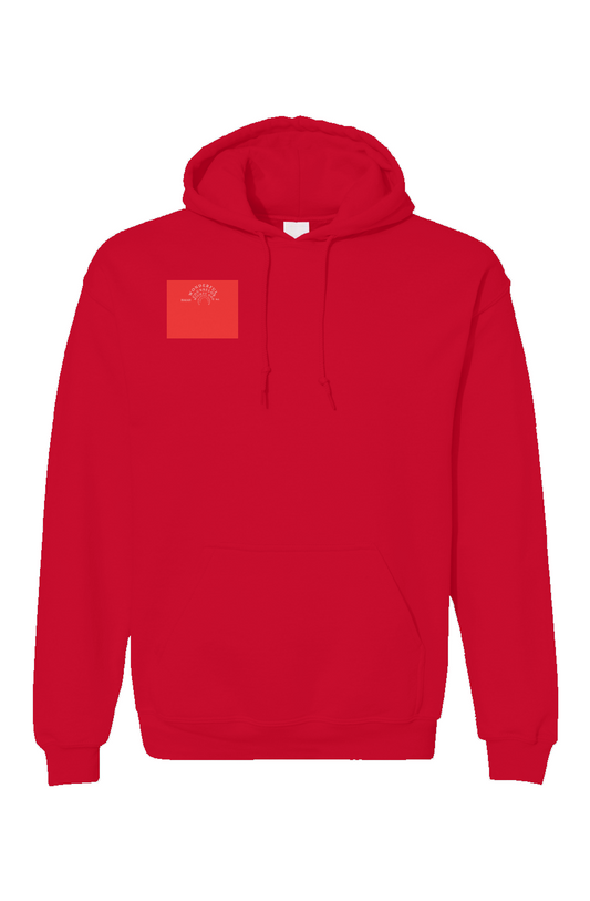 Unisex Gildan Hoodie WONDERFUL COUNSELOR - Red