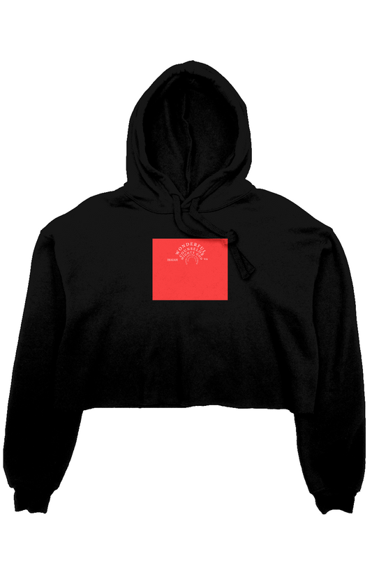 Wonderful Counselor Crop Fleece Hoodie 