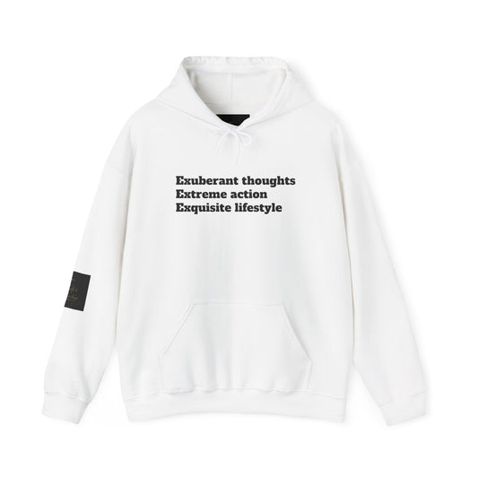 Exquisite Lifestyle Hoodie - Unisex Heavy Blend Sweatshirt, Cozy Casual Wear, Gift for Friends, Inspirational Hoodie